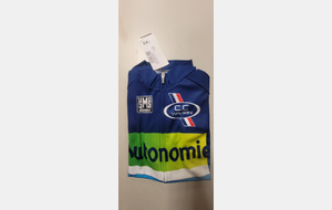 MAILLOT MANCHES COURTES